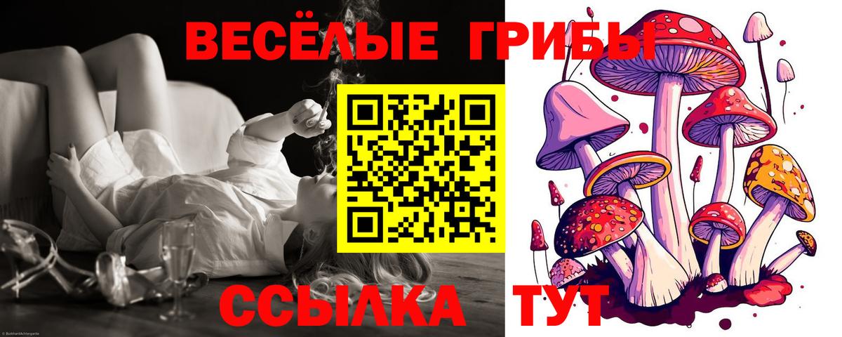 Карабулак  Галлюциногенные грибы ЛСД  Вход с VPN 